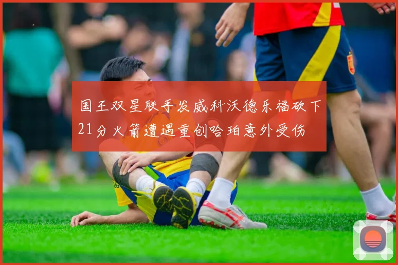 国王双星联手发威科沃德乐福砍下21分火箭遭遇重创哈珀意外受伤